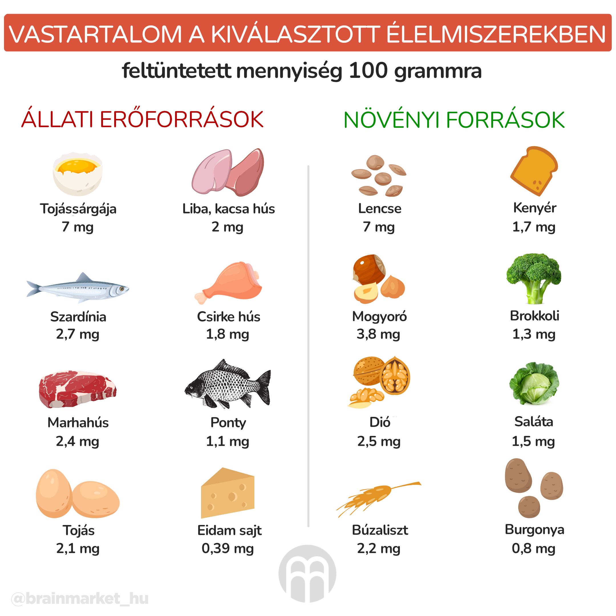 Obsah zeleza v potravinach-infografika_hu